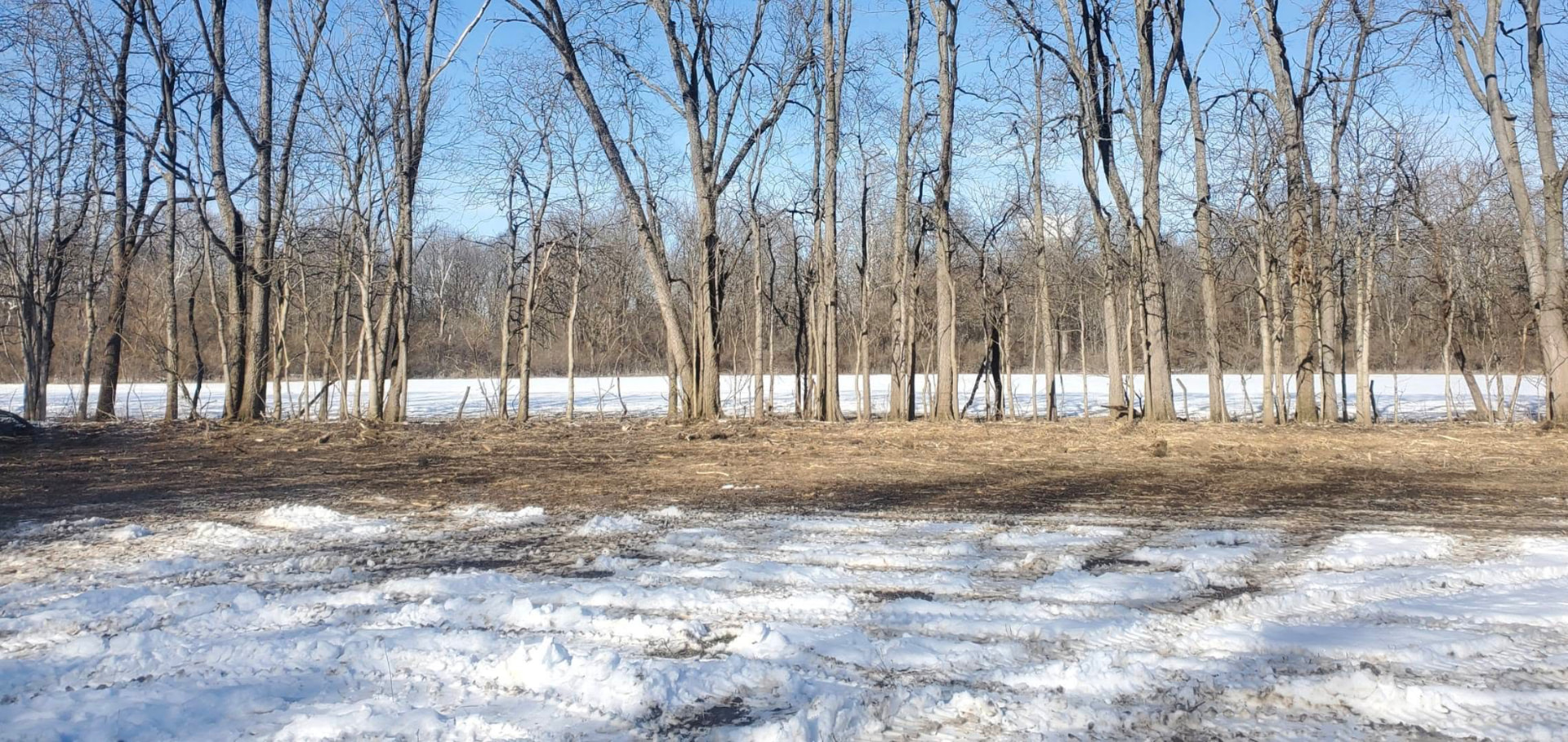 Land Clearing and Brush Cutting